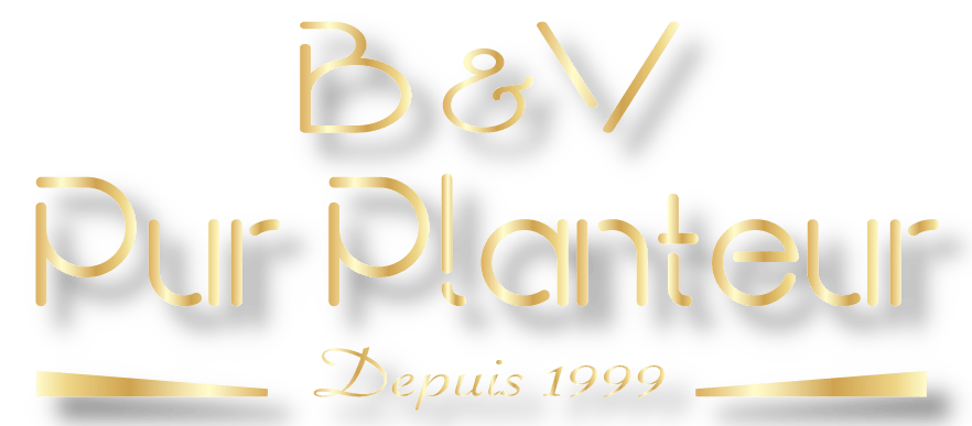 logo Pur Planteur by B&V